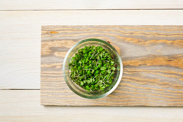 Citrus Basil Microgreen